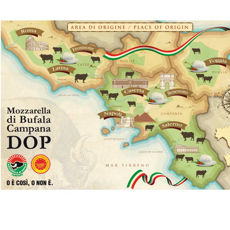 la storia della mozzarella di bufala